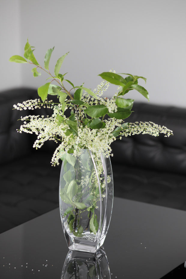 Precision Vase, Clear