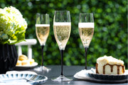 European Glass Stemmed Champagne Toasting Flutes- Bold Black Stem- 11 Oz. - Set of 6
